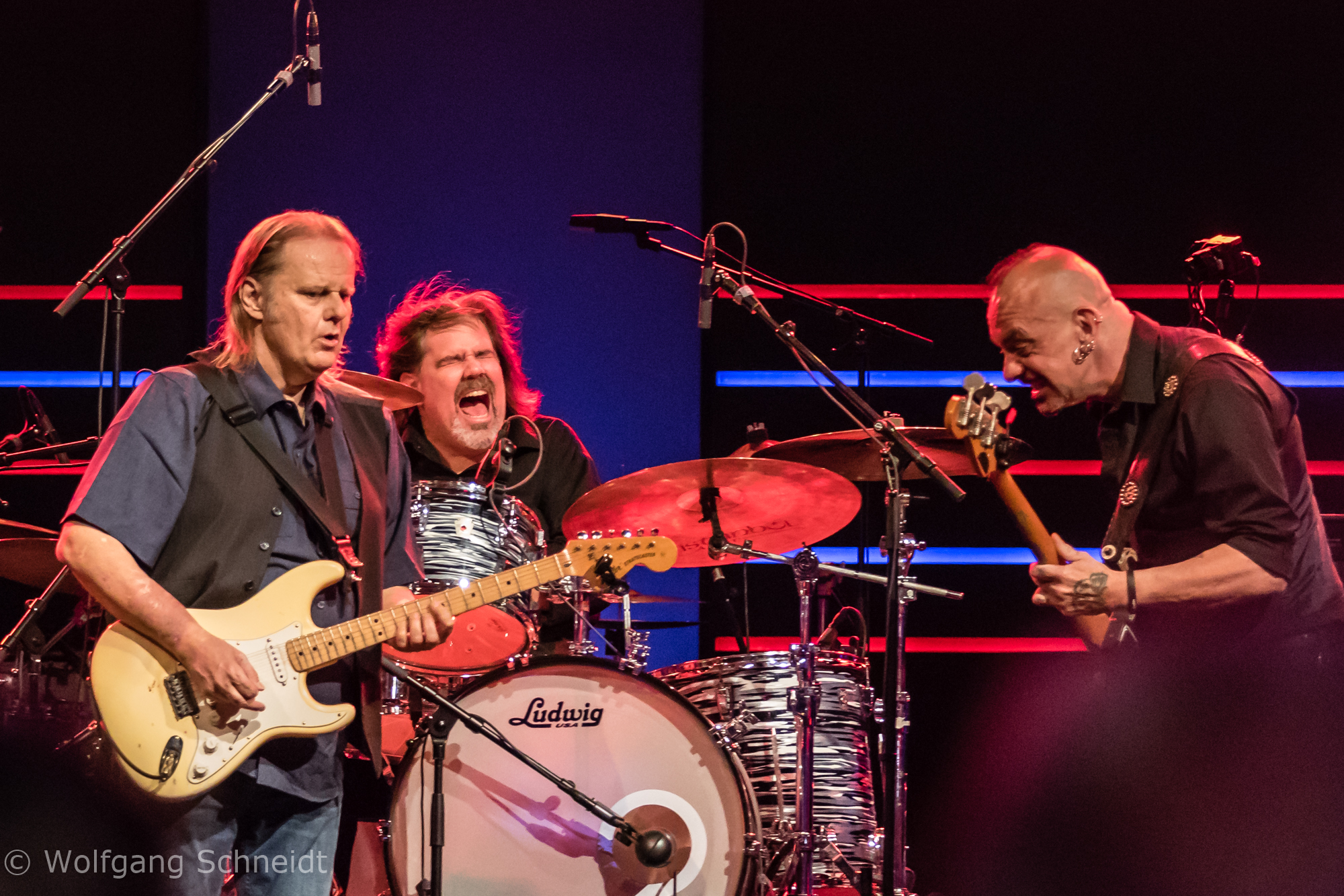 Walter Trout 3